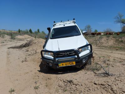 Научиться управлять автомобилем в любой ситуации